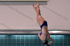 Women's Diving  Wheaton College Women’s Diving vs Mount Holyoke College. - Photo by Keith Nordstrom : Wheaton, Swimming & Diving